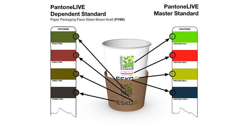 Achieving Color Consistency with Digital Color Standards