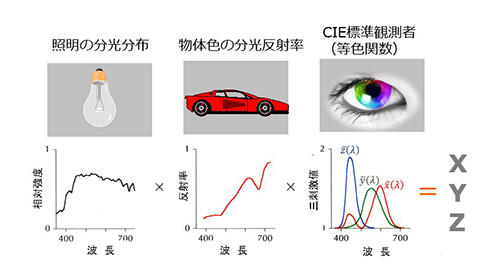 色彩値XYZを計算してみよう