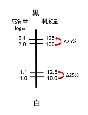 印刷濃度の単位は何