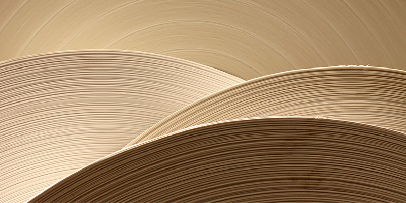 AustrianInlineSuccessStory