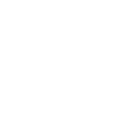 Fotorealistische Materialdarstellung