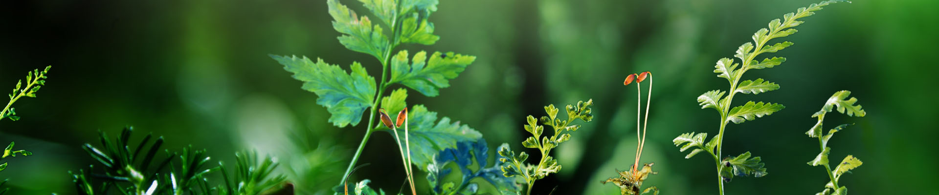 xrite-whats-sabotaging-your-sustainability-efforts-05