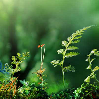 xrite-whats-sabotaging-your-sustainability-efforts-03