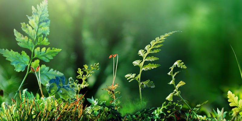 xrite-whats-sabotaging-your-sustainability-efforts-04