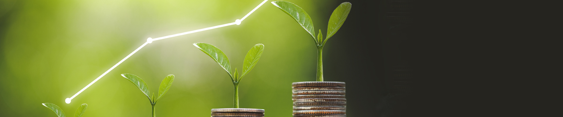 get started discount