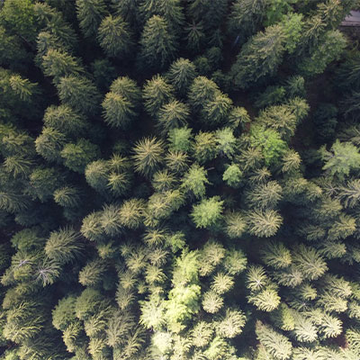 optical-brightner_400x400